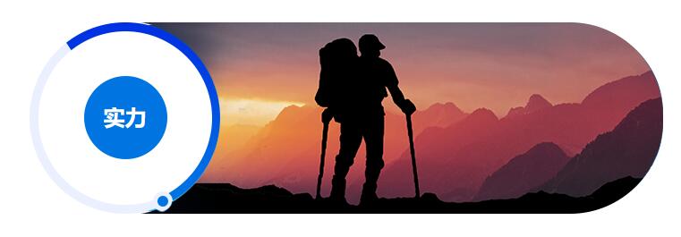 實力強、品牌好(圖1)